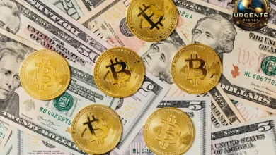 Como usar o banco descentralizado RodotPay